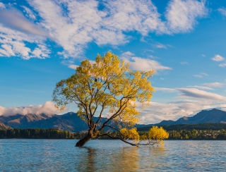 Lake Wanaka New Zealand