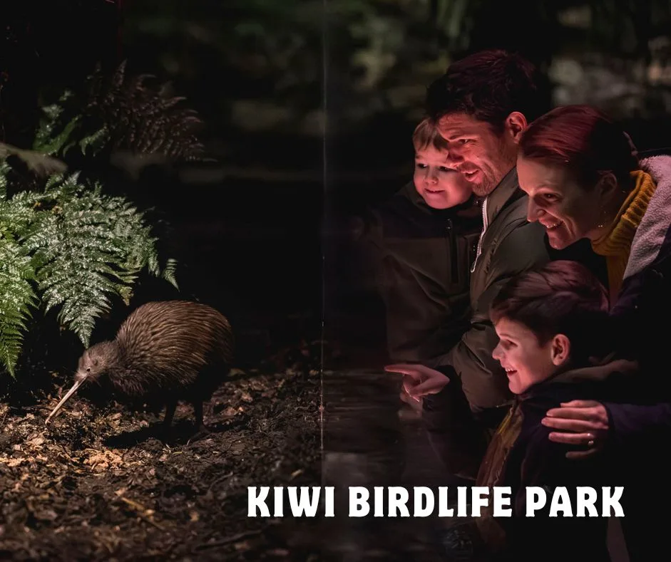 Kiwi-Birdlife-Park - New Zealand