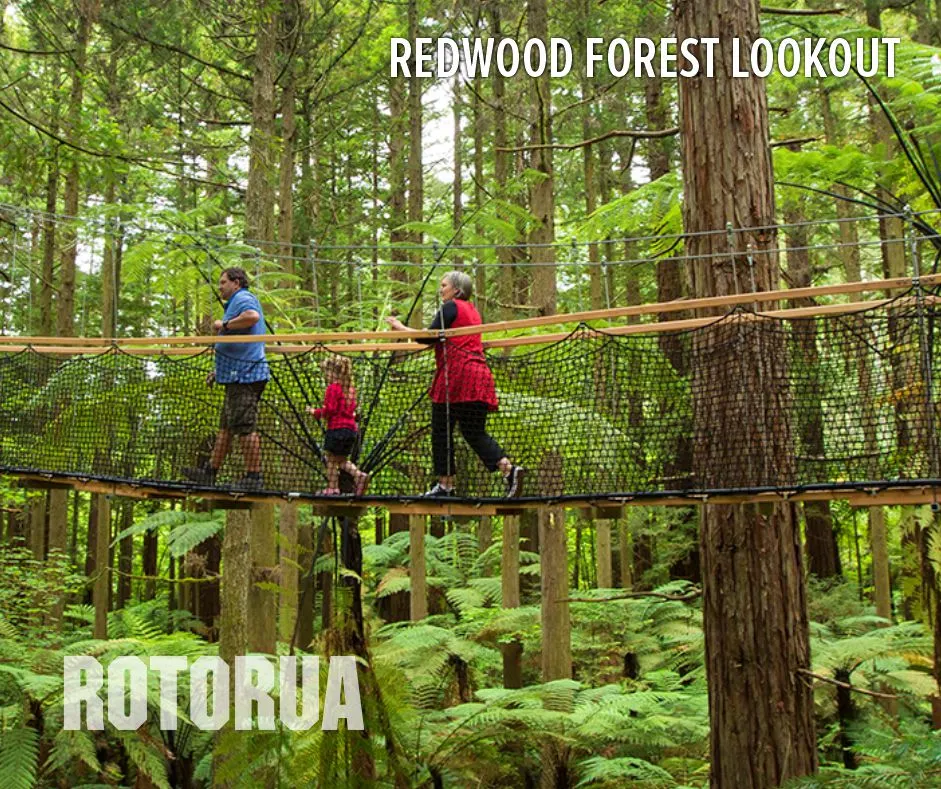 Rotorua-Redwood-Forest- New Zealand