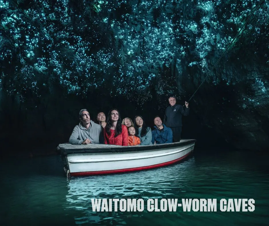 Waitomo-Glow-Worm - New Zealand